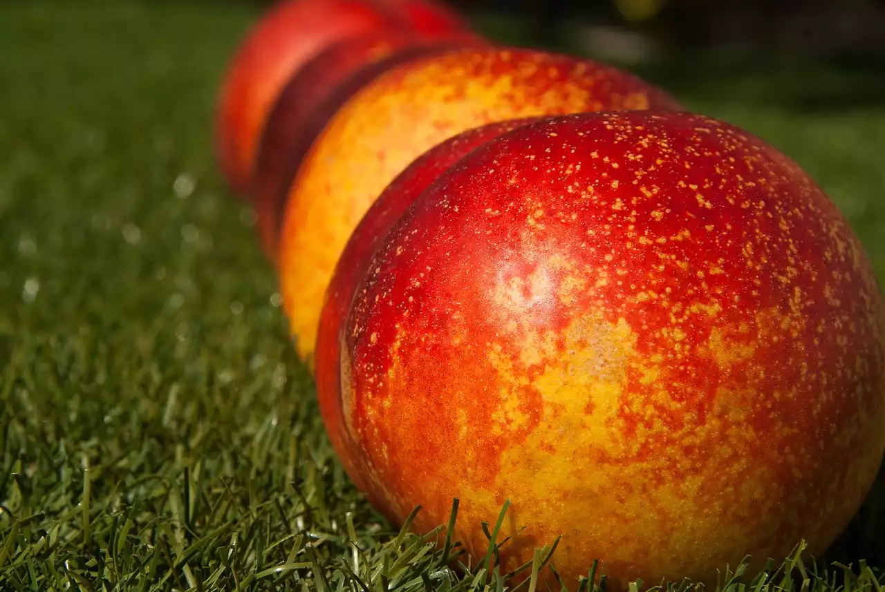 Techniques de blanchiment des fruits : comment préparer des pêches, des tomates, etc.